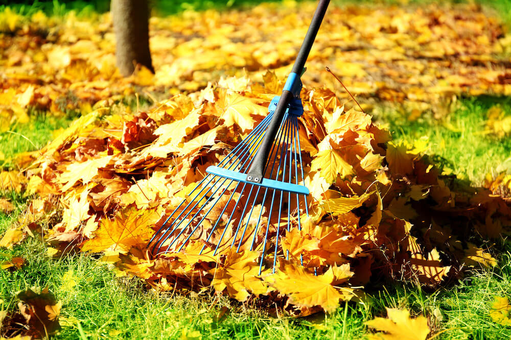 9 Home maintenance Tips for the Fall Season