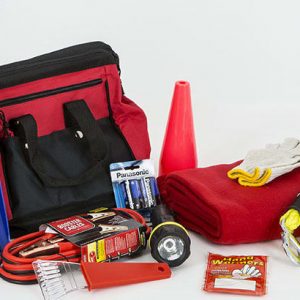 Read more about the article Build an emergency car kit [infographic]