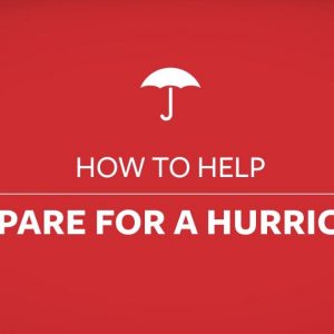 Read more about the article How to Help Prepare for a Hurricane